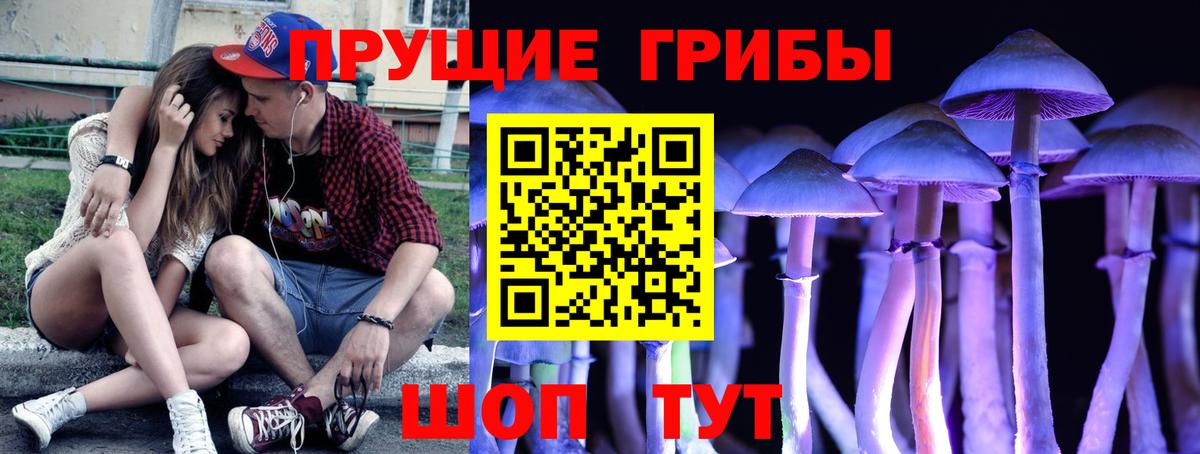 Псилоцибиновые грибы MAGIC MUSHROOMS  Вход с VPN  Нижнекамск 
