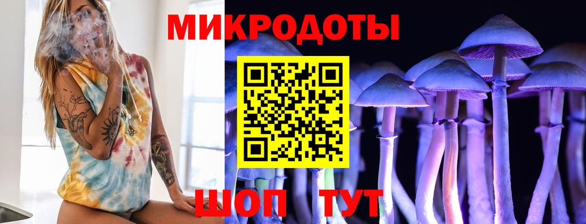 Псилоцибиновые грибы прущие грибы Нижнекамск